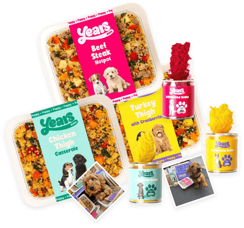 best-puppy-food-uk-prepared-meals-tailored-for-growing-puppies